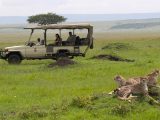The Ultimate Safari Itinerary in the Masai Mara