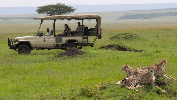 The Ultimate Safari Itinerary in the Masai Mara
