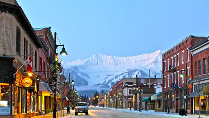 Why is Fernie the ideal destination for pet owners?