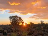 When Is the Best Time to Book Luxury Safari Holidays in Africa?