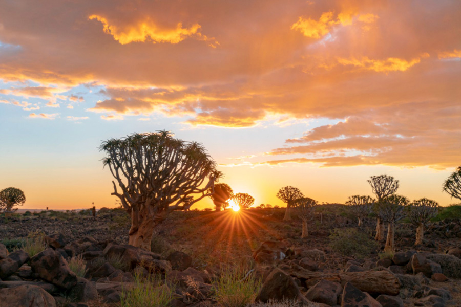 When Is the Best Time to Book Luxury Safari Holidays in Africa?